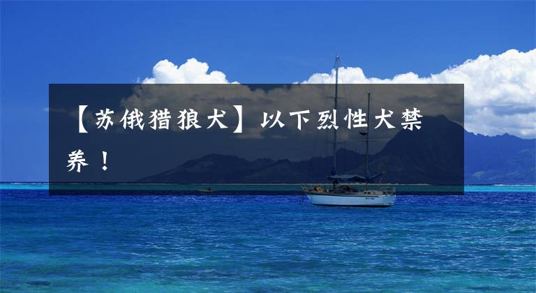 【苏俄猎狼犬】以下烈性犬禁养！