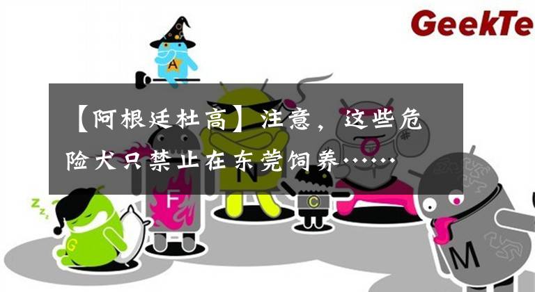 【阿根廷杜高】注意,这些危险犬只禁止在东莞饲养……