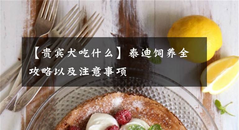 【贵宾犬吃什么】泰迪饲养全攻略以及注意事项