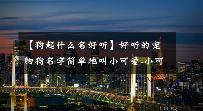 【狗起什么名好听】好听的宠物狗名字简单地叫小可爱-小可爱