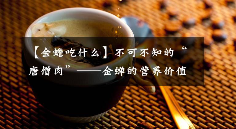 【金蟾吃什么】不可不知的“唐僧肉”——金蝉的营养价值和养殖技术