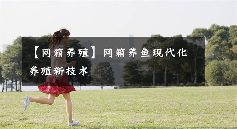 【网箱养殖】网箱养鱼现代化养殖新技术