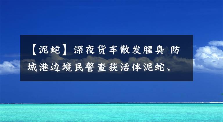 【泥蛇】深夜货车散发腥臭 防城港边境民警查获活体泥蛇、沼蛙1.64吨