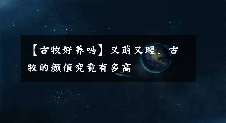 【古牧好养吗】又萌又暖，古牧的颜值究竟有多高