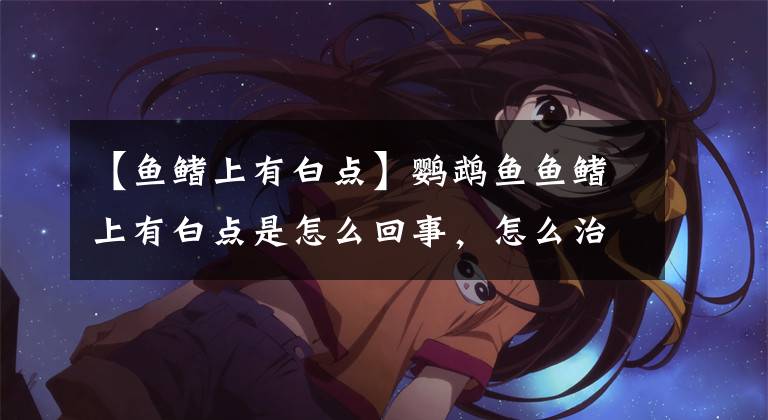 【鱼鳍上有白点】鹦鹉鱼鱼鳍上有白点是怎么回事,怎么治疗