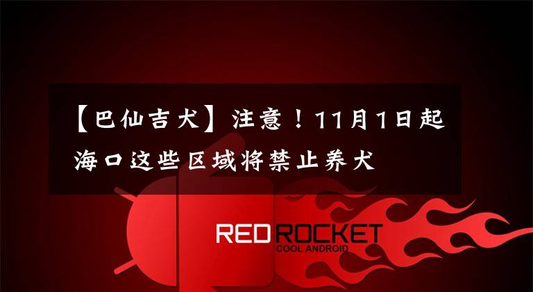 【巴仙吉犬】注意!11月1日起 海口这些区域将禁止养犬