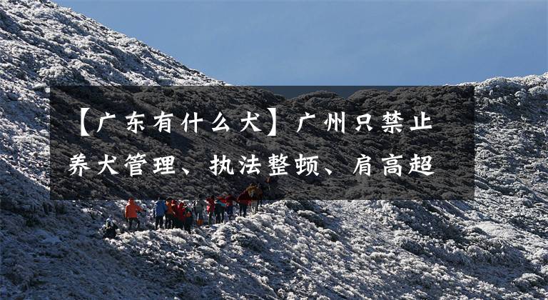 【广东有什么犬】广州只禁止养犬管理、执法整顿、肩高超过71厘米的大型犬饲养。