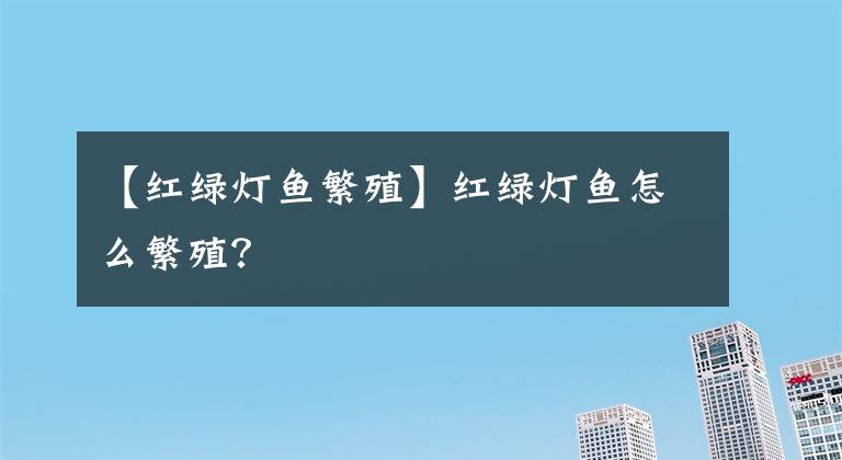 【红绿灯鱼繁殖】红绿灯鱼怎么繁殖?