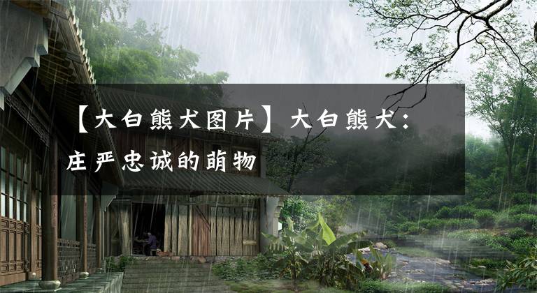 【大白熊犬图片】大白熊犬：庄严忠诚的萌物