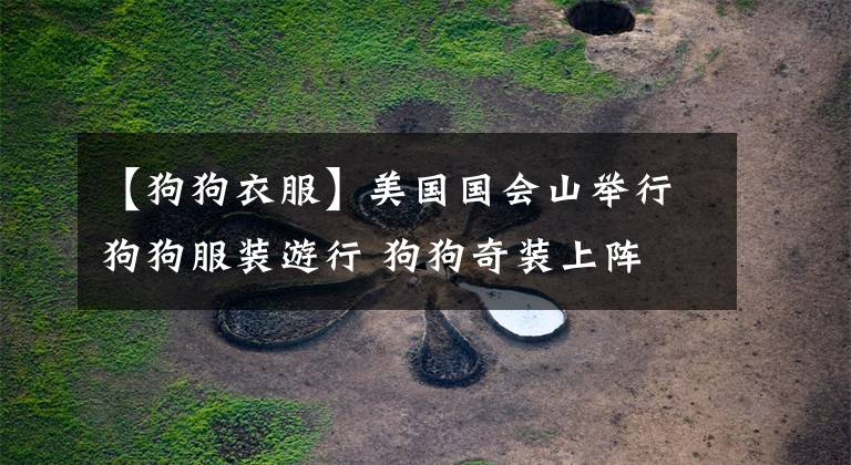 【狗狗衣服】美国国会山举行狗狗服装游行 狗狗奇装上阵