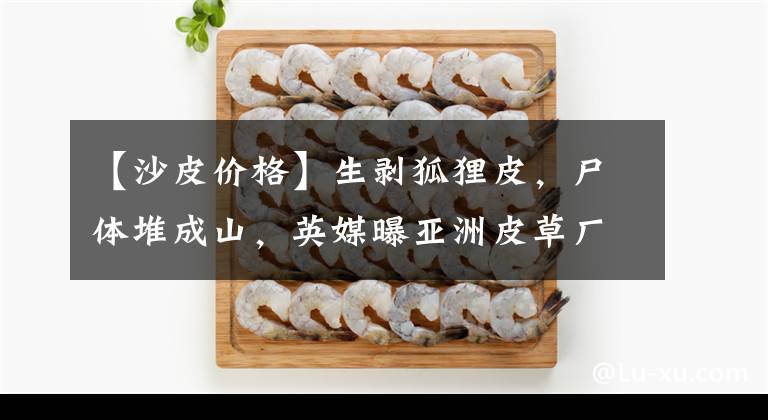 【沙皮价格】生剥狐狸皮，尸体堆成山，英媒曝亚洲皮草厂惨状，人间地狱…