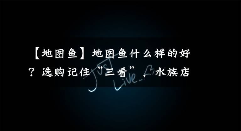 【地图鱼】地图鱼什么样的好？选购记住“三看”，水族店老板蒙不了你