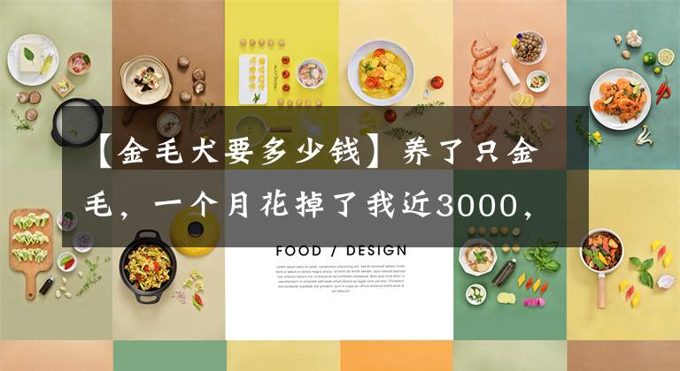 【金毛犬要多少钱】养了只金毛，一个月花掉了我近3000，我有点肉疼！