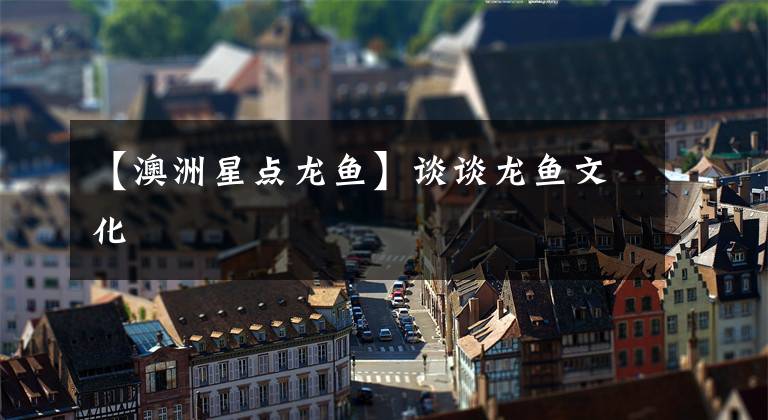 【澳洲星点龙鱼】谈谈龙鱼文化