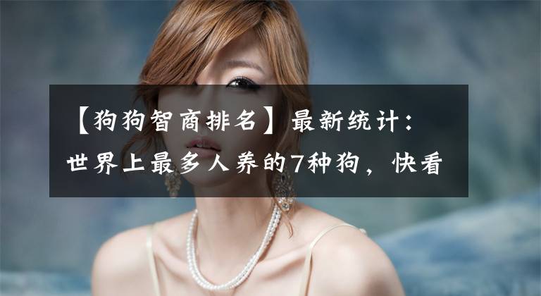 【狗狗智商排名】最新统计:世界上最多人养的7种狗,快看你家狗上榜了吗?