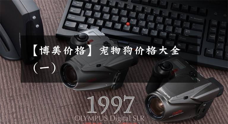 【博美价格】宠物狗价格大全(一)