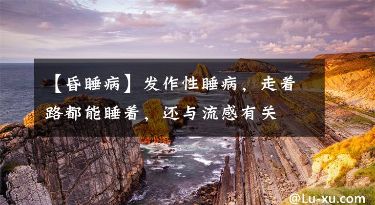 【昏睡病】发作性睡病，走着路都能睡着，还与流感有关