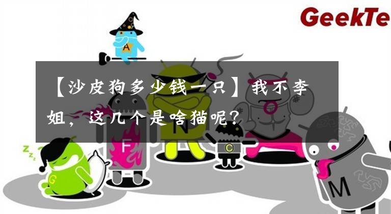 【沙皮狗多少钱一只】我不李姐，这几个是啥猫呢？