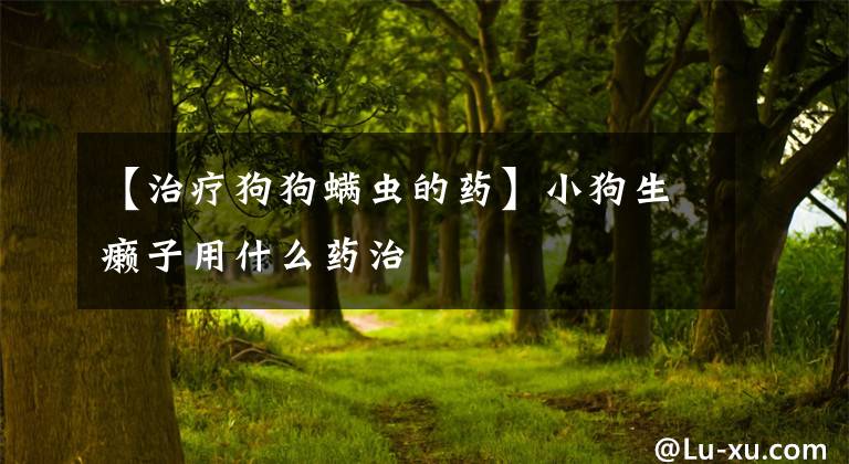 【治疗狗狗螨虫的药】小狗生癞子用什么药治