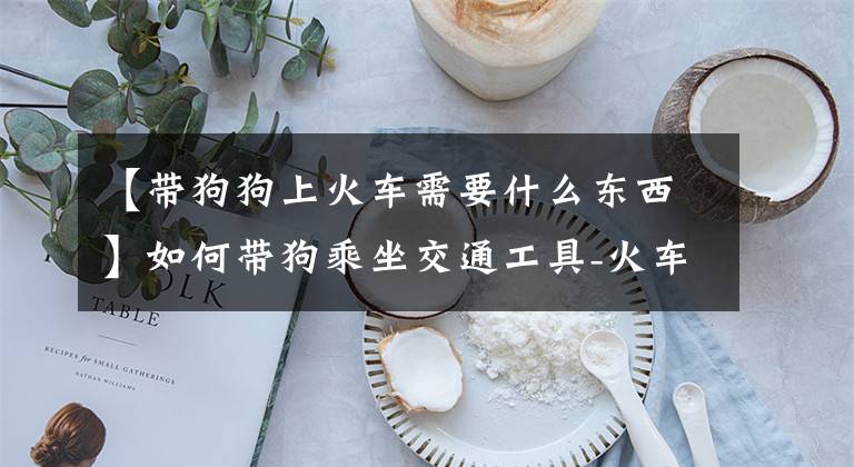 【带狗狗上火车需要什么东西】如何带狗乘坐交通工具-火车