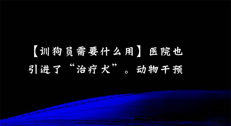 【训狗员需要什么用】医院也引进了“治疗犬”。动物干预成为护理的新措施~