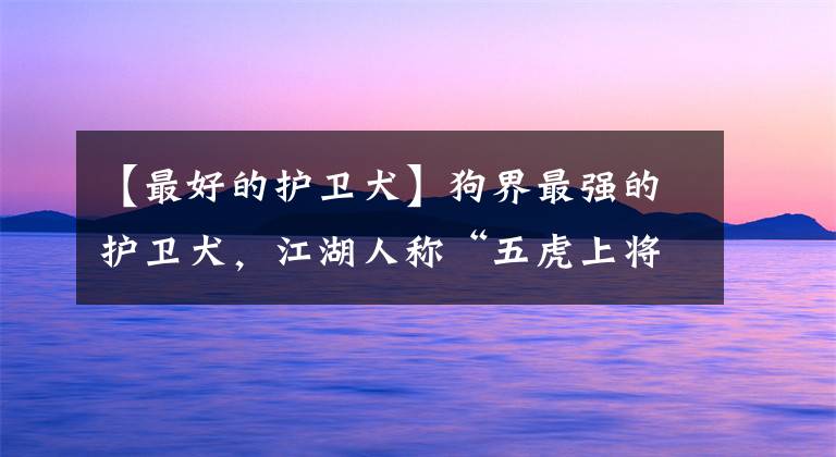 【最好的护卫犬】狗界最强的护卫犬，江湖人称“五虎上将”