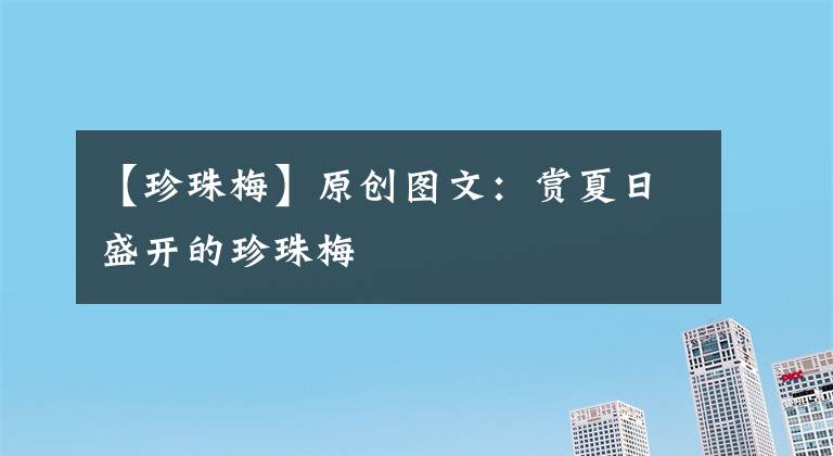 【珍珠梅】原创图文:赏夏日盛开的珍珠梅