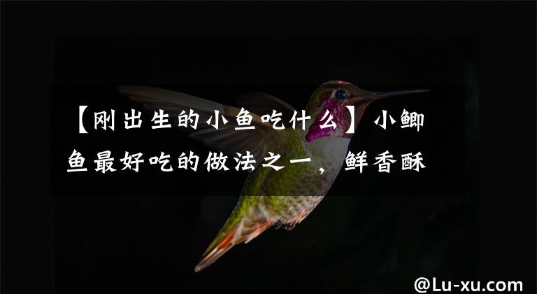 【刚出生的小鱼吃什么】小鲫鱼最好吃的做法之一，鲜香酥软，上班族和学生带饭首选，真香
