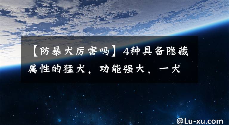 【防暴犬厉害吗】4种具备隐藏属性的猛犬，功能强大，一犬多用，开启猛犬的钥匙