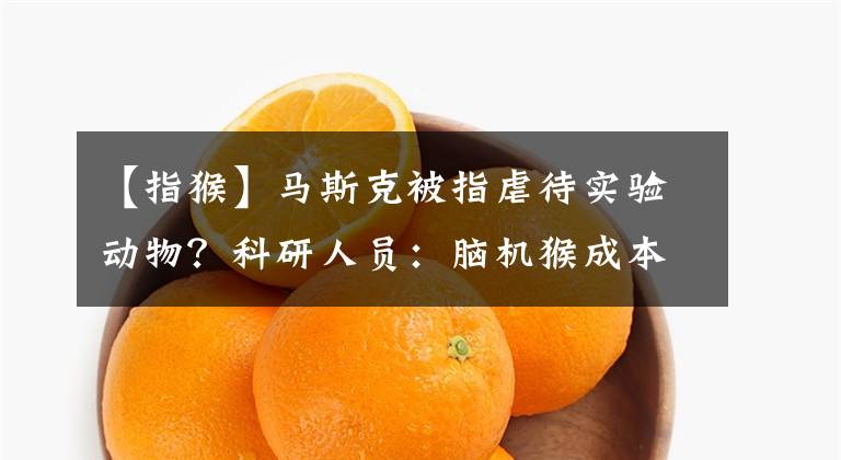 【指猴】马斯克被指虐待实验动物？科研人员：脑机猴成本高，不可能被虐待