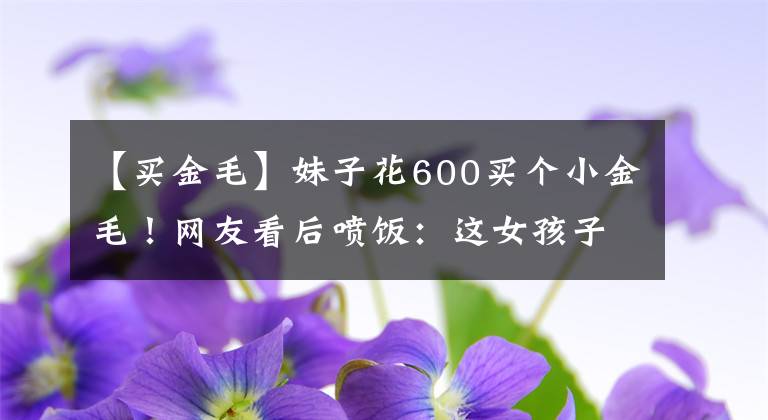 【买金毛】妹子花600买个小金毛!网友看后喷饭:这女孩子真单纯啊