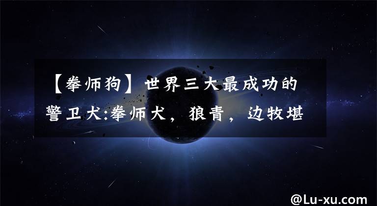 【拳师狗】世界三大最成功的警卫犬:拳师犬，狼青，边牧堪称狗中之最