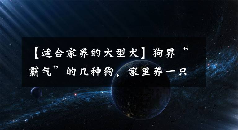 【适合家养的大型犬】狗界“霸气”的几种狗，家里养一只，小偷不进门