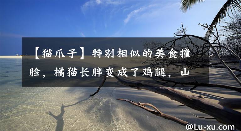 【猫爪子】特别相似的美食撞脸，橘猫长胖变成了鸡腿，山竹就是猫爪爪