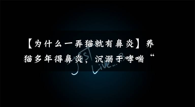 【为什么一弄猫就有鼻炎】养猫多年得鼻炎,沉溺于哮喘“吸猫”有健康的危险