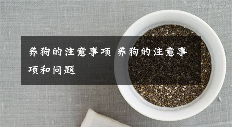 养狗的注意事项 养狗的注意事项和问题
