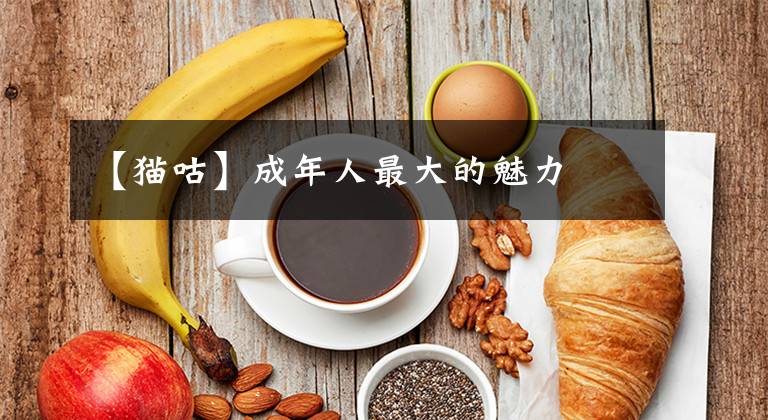 【猫咕】成年人最大的魅力