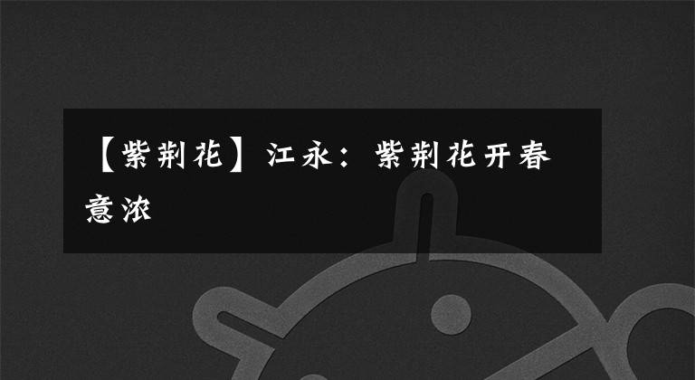 【紫荆花】江永:紫荆花开春意浓