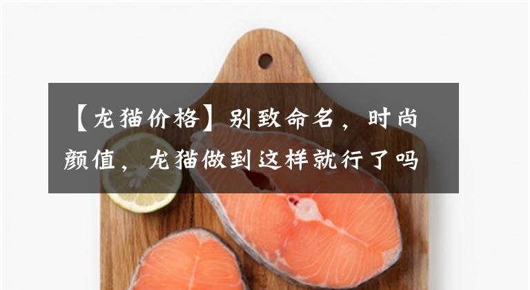 【龙猫价格】别致命名，时尚颜值，龙猫做到这样就行了吗？