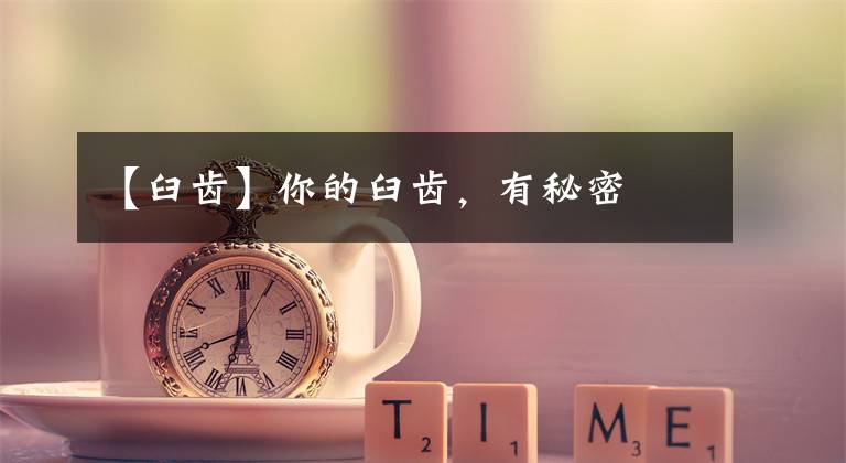 【臼齿】你的臼齿，有秘密