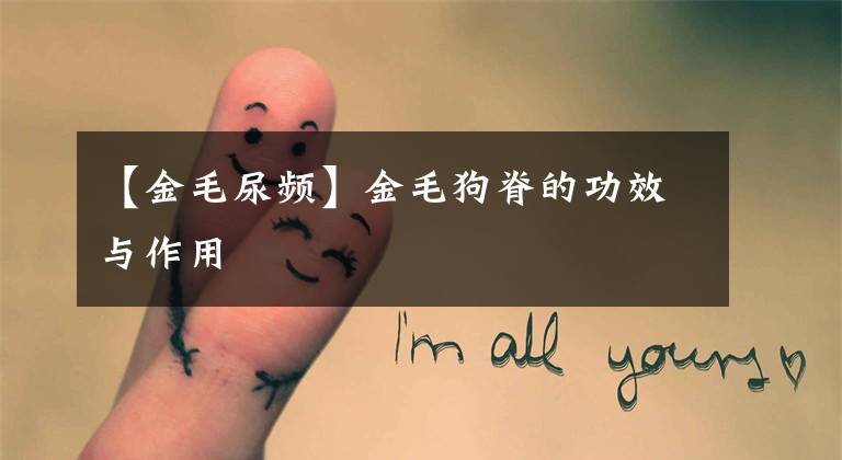 【金毛尿频】金毛狗脊的功效与作用