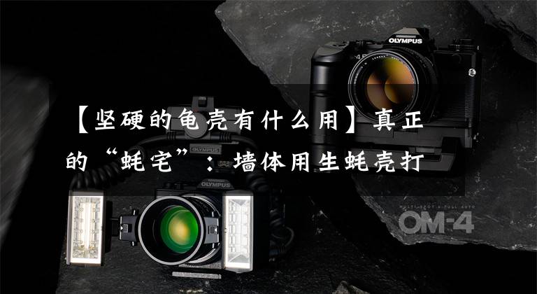 【坚硬的龟壳有什么用】真正的“蚝宅”：墙体用生蚝壳打造，存在600年依然稳固