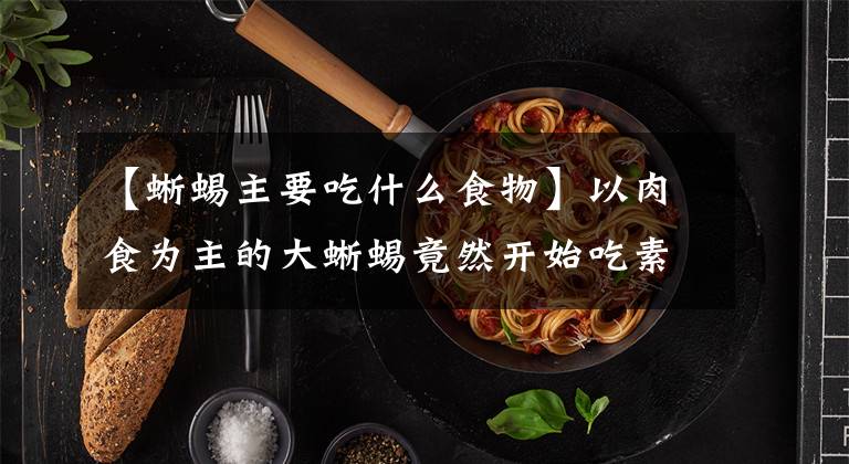 【蜥蜴主要吃什么食物】以肉食为主的大蜥蜴竟然开始吃素，难道他们也会养生吗？