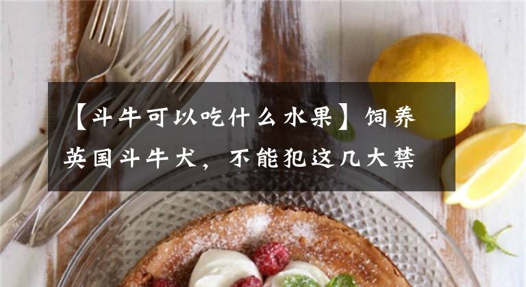 【斗牛可以吃什么水果】饲养英国斗牛犬，不能犯这几大禁忌