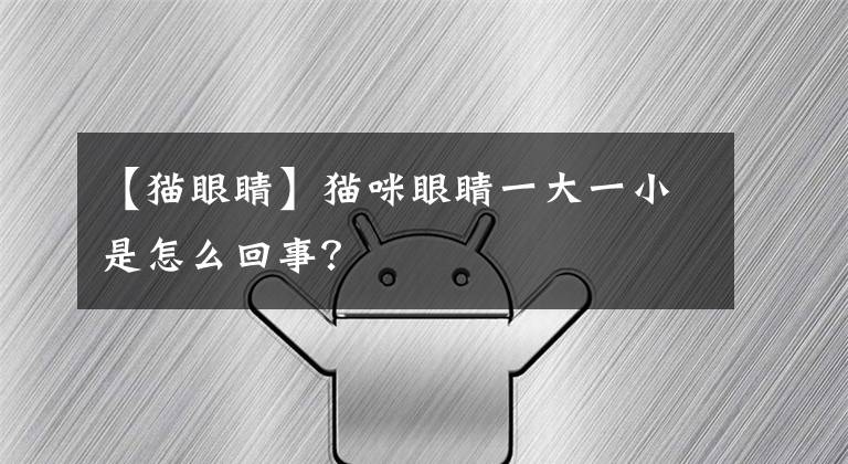 【猫眼睛】猫咪眼睛一大一小是怎么回事？