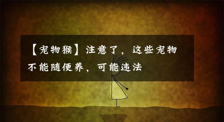 【宠物猴】注意了，这些宠物不能随便养，可能违法