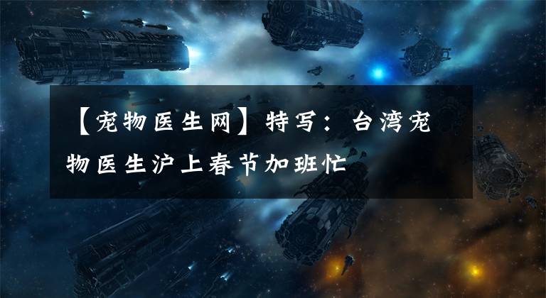 【宠物医生网】特写:台湾宠物医生沪上春节加班忙