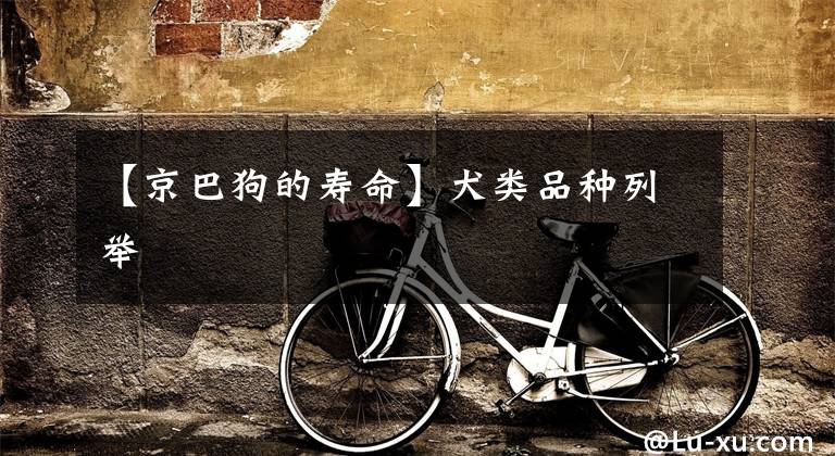 【京巴狗的寿命】犬类品种列举