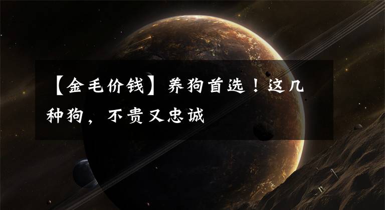 【金毛价钱】养狗首选!这几种狗,不贵又忠诚