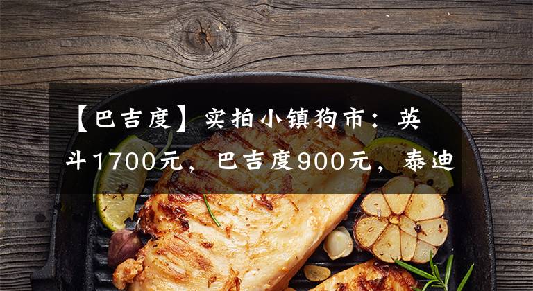 【巴吉度】实拍小镇狗市：英斗1700元，巴吉度900元，泰迪1500元
